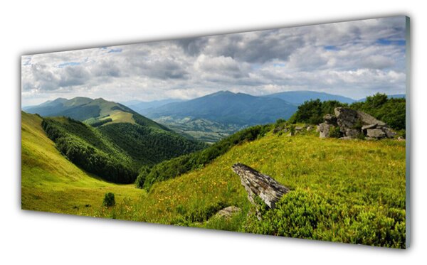 Panou sticla bucatarie Mountain Meadow Peisaj Verde Gri