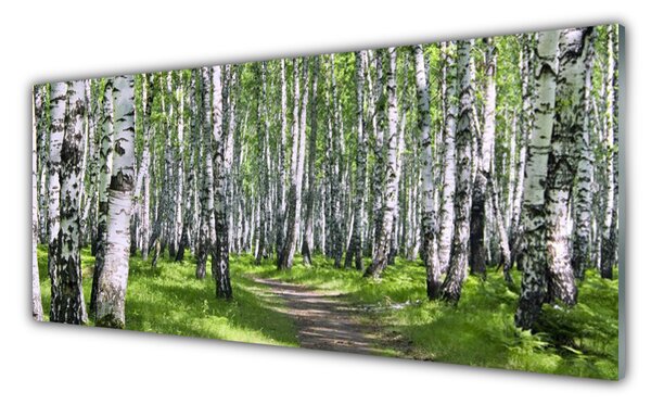 Panou sticla bucatarie Pădurea Potecă Natura Verde Maro Alb Negru