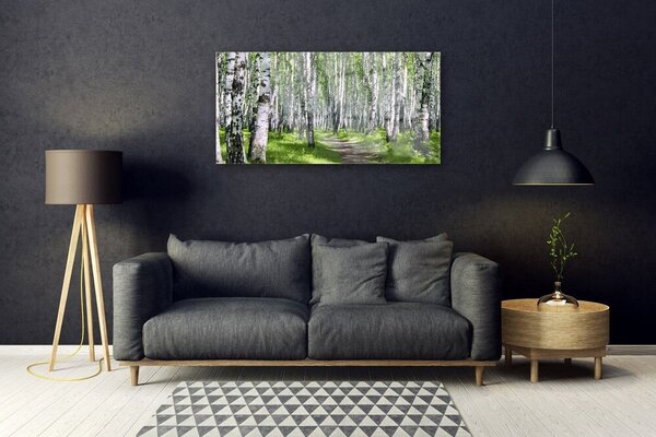 Tablou pe sticla Pădurea Potecă Natura Verde Maro Alb Negru
