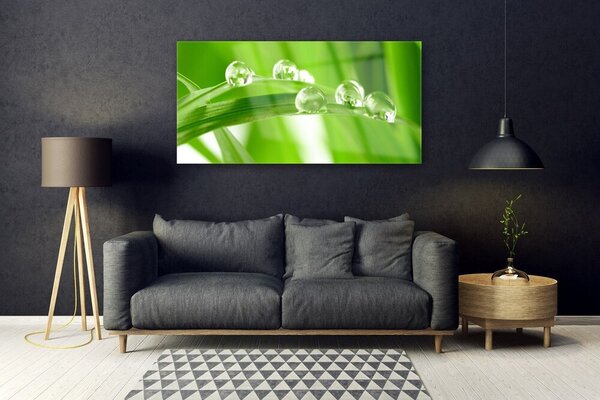 Tablou pe sticla Frunze verde florale