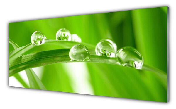 Tablou pe sticla Frunze verde florale