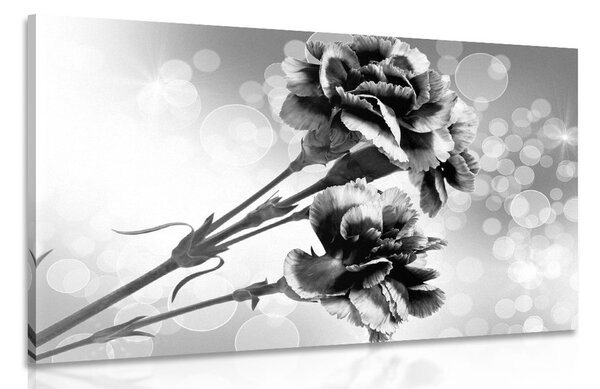 Tablou floare de garoafe în design alb-negru