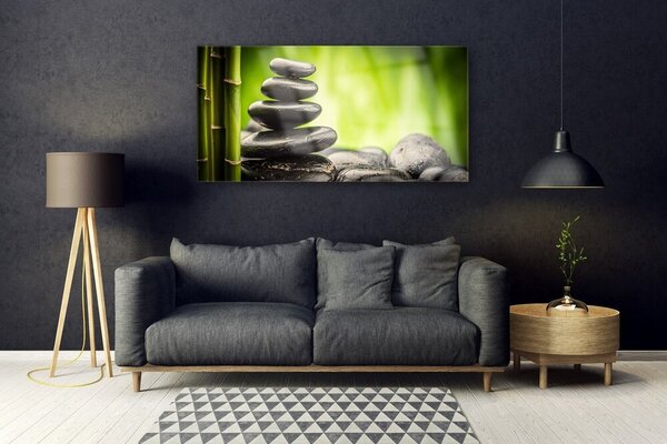 Tablou pe sticla Bamboo pietre Arta Verde Gri