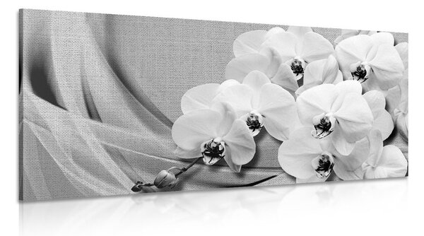 Tablou orhidee pe o pânză în design alb-negru