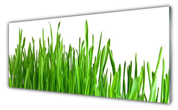 Panou sticla bucatarie Iarbă verde florale