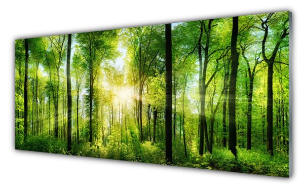 Tablouri acrilice Pădurea Verde Natura Maro