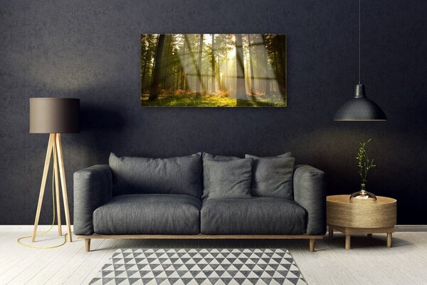 Tablou pe sticla Pădurea Verde Natura Maro