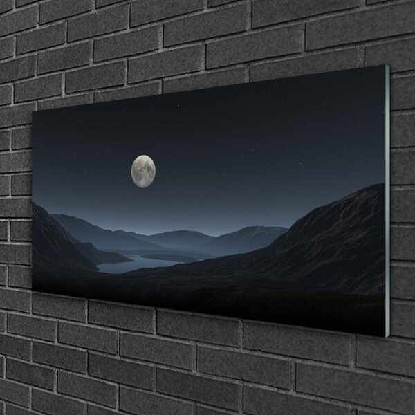Tablou pe sticla Noapte Moon Peisaj Gri Negru
