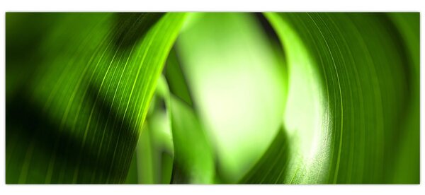 Tablou - Un fir de iarbă (120x50 cm)
