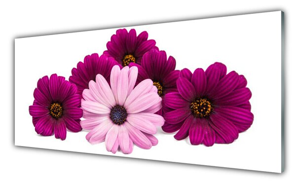 Tablou pe sticla Flori Floral Roșu Roz