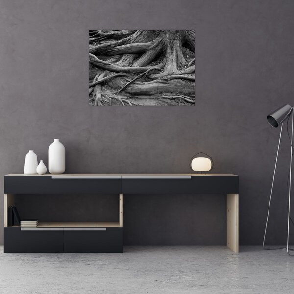 Tablou - Rădăcinile copacului (70x50 cm)