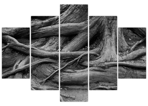 Tablou - Rădăcinile copacului (150x105 cm)