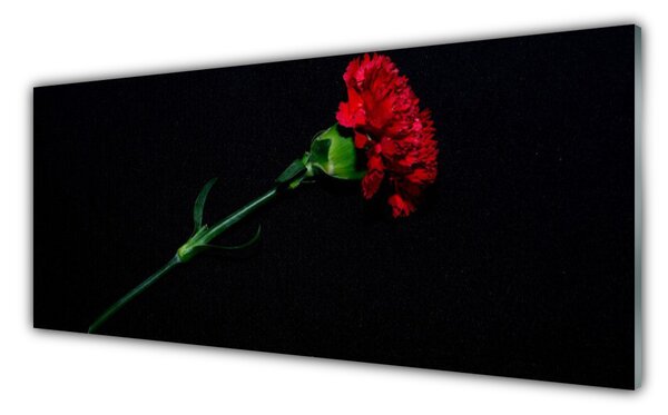 Tablou pe sticla Flower Floral Roșu Verde