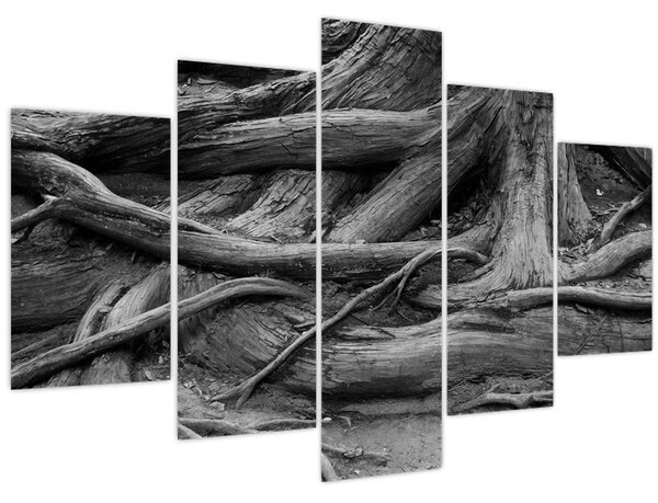 Tablou - Rădăcinile copacului (150x105 cm)