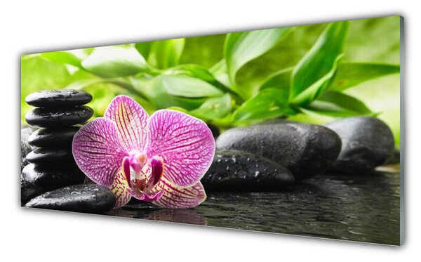 Tablou pe sticla Pietrele florale flori Roșu Negru
