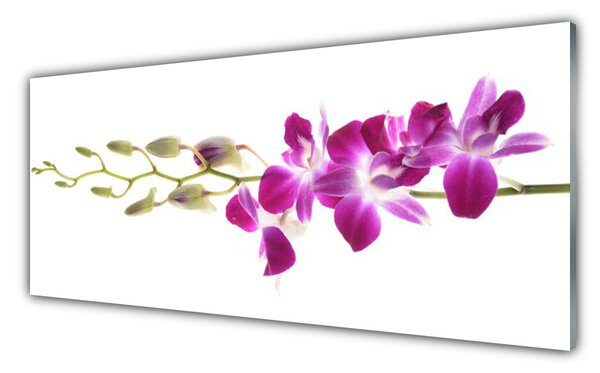 Tablou pe sticla Flori Floral Roșu
