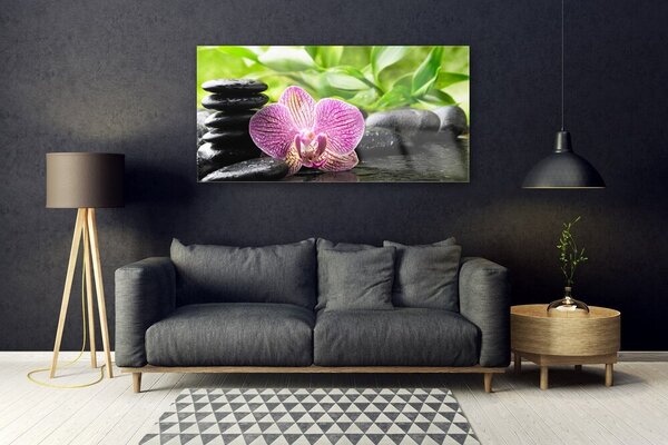 Tablou pe sticla Pietrele florale flori Roșu Negru