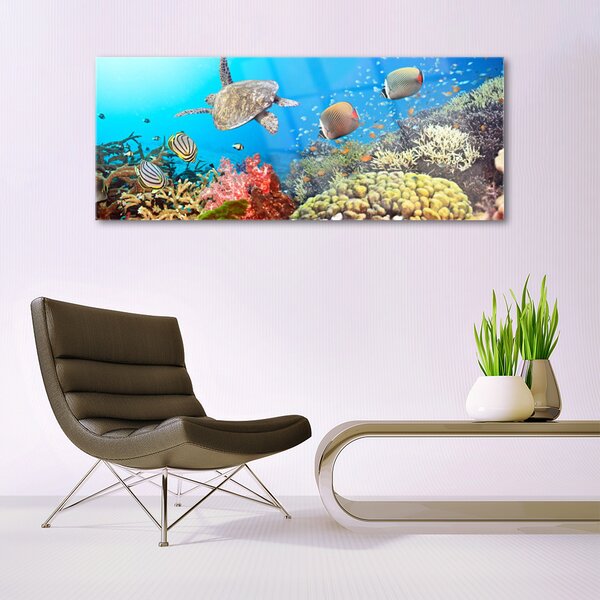 Tablou pe sticla Coral Reef Peisaj Multi