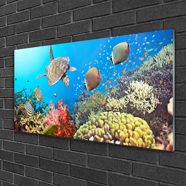 Tablou pe sticla Coral Reef Peisaj Multi