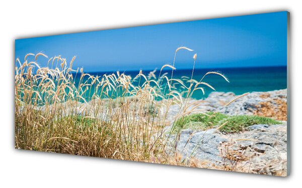 Panou sticla bucatarie Plaja Peisaj Brown