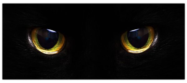 Tablou - Ochi de pisică (120x50 cm)
