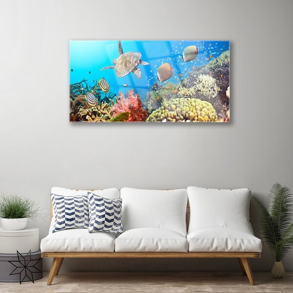 Tablou pe sticla Coral Reef Peisaj Multi