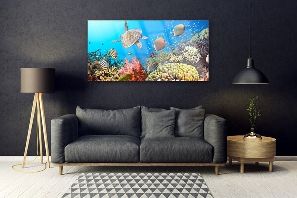 Tablou pe sticla Coral Reef Peisaj Multi