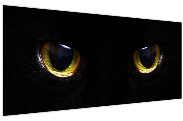 Tablou - Ochi de pisică (120x50 cm)