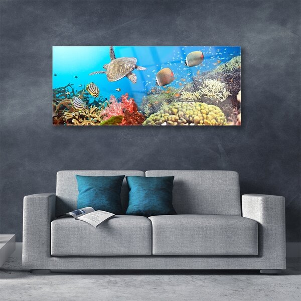Tablou pe sticla Coral Reef Peisaj Multi