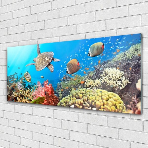 Tablou pe sticla Coral Reef Peisaj Multi