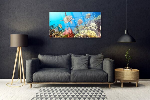 Tablou pe sticla Coral Reef Peisaj Multi
