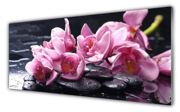 Tablou pe sticla Pietrele florale flori roz negru