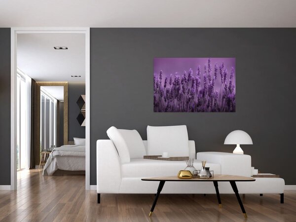 Tablou - Lavanda (90x60 cm)
