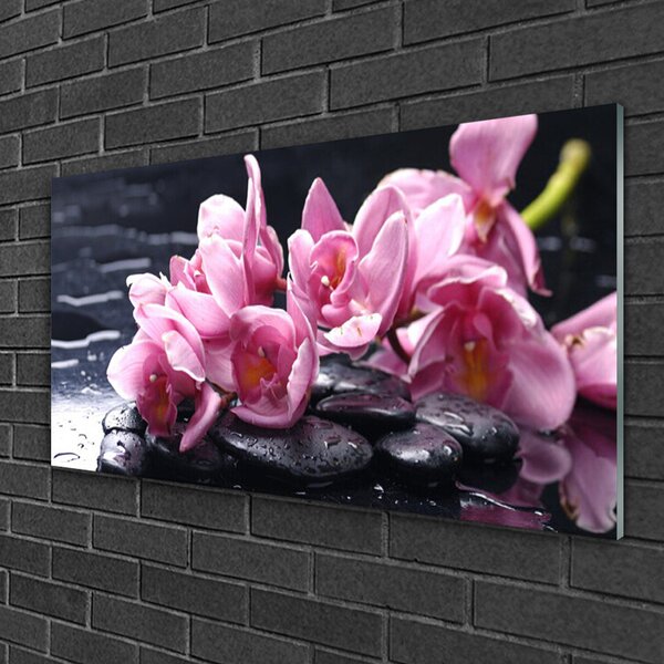 Tablou pe sticla Pietrele florale flori roz negru