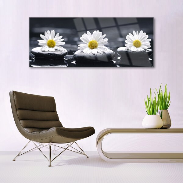 Tablou pe sticla Daisy pietre Floral Galben Alb Negru
