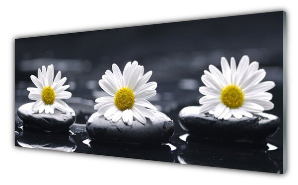 Panou sticla bucatarie Daisy pietre Floral Galben Alb Negru