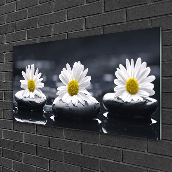 Tablou pe sticla Daisy pietre Floral Galben Alb Negru
