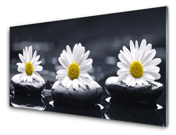 Panou sticla bucatarie Daisy pietre Floral Galben Alb Negru