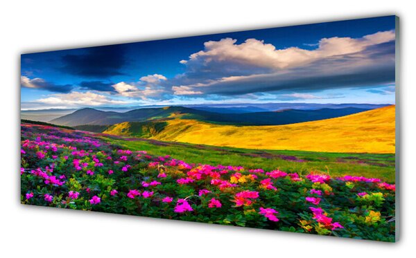 Panou sticla bucatarie Meadow Flori Natura Verde Albastru Roz Roșu