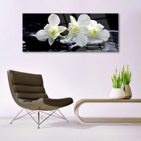 Tablou pe sticla Pietre florale flori alb negru