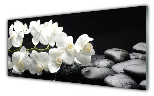 Panou sticla bucatarie Pietre florale flori alb negru