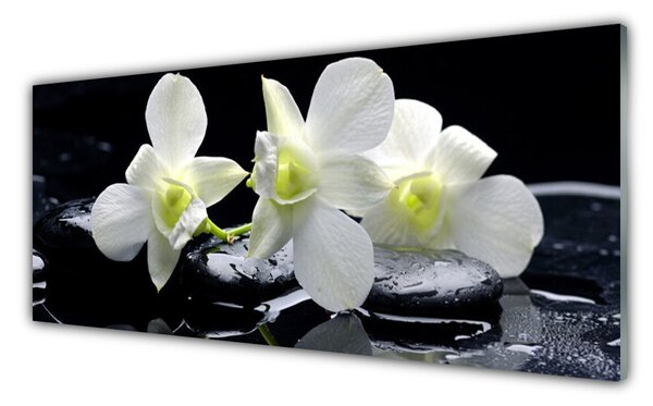 Tablou pe sticla Pietre florale flori alb negru