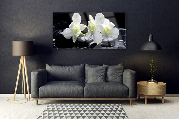 Tablou pe sticla Pietre florale flori alb negru