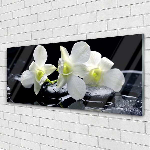 Tablou pe sticla Pietre florale flori alb negru