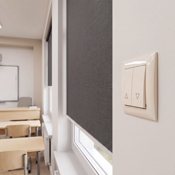 Întrerupător pentru Jaluzele cu Ramă OSTE JNH009-W BEIGE