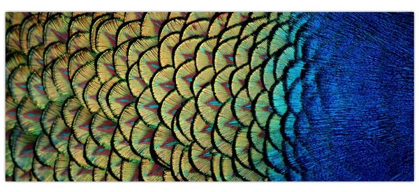 Tablou - Pene de păun (120x50 cm)