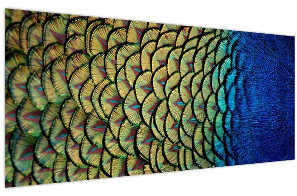 Tablou - Pene de păun (120x50 cm)