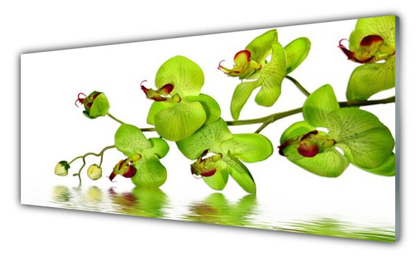 Panou sticla bucatarie Flori Floral Verde