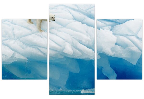 Tablou - Ursul polar (90x60 cm)
