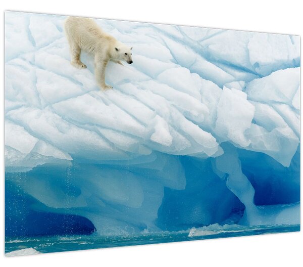 Tablou - Ursul polar (90x60 cm)